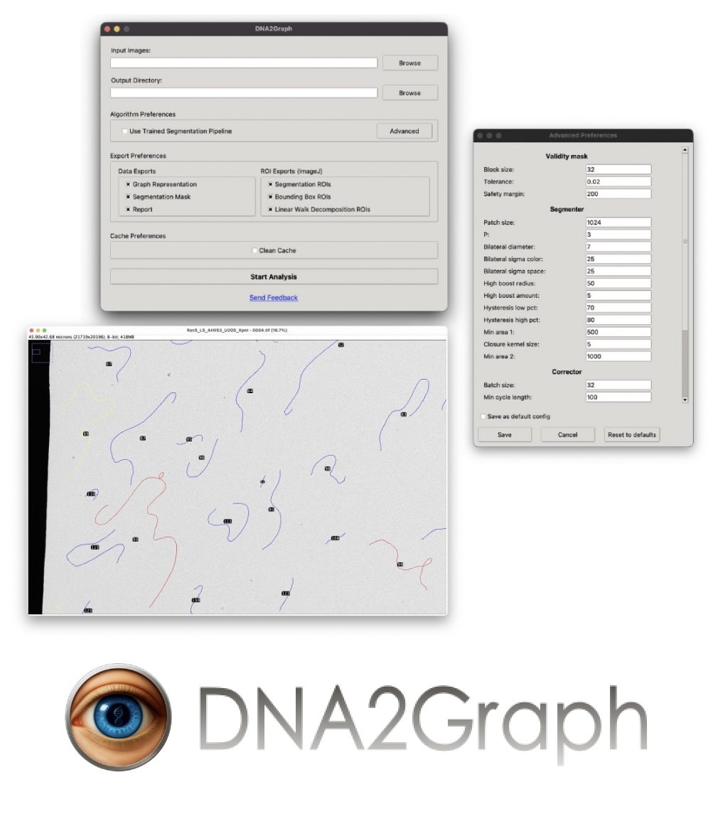 DNA2Graph GUI
